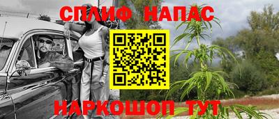 дурь Пугачёв