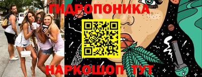 дурь Пугачёв