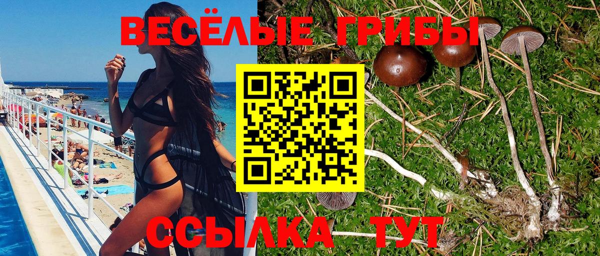 Псилоцибиновые грибы Psilocybine cubensis  наркотики  Саратов  Вход с VPN  Псилоцибиновые грибы Cubensis 